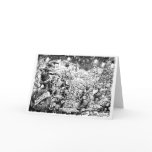 A Merry Mouse Christmas Greeting Card