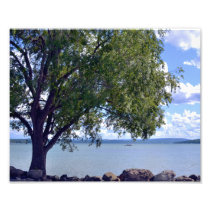 A MIDSUMMER'S AFTERNOON AT THE LAKE. PHOTO