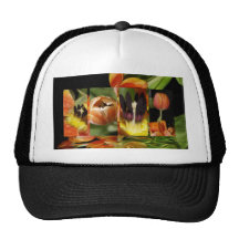 A Mirage Of Tulips Mesh Hats