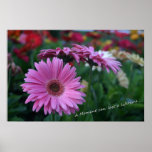 A Moment Pink Gerber Daisies Imaginative Imagery Posters