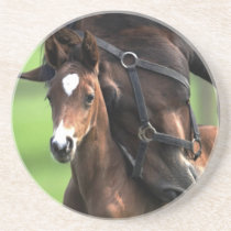 A Mothers Love (Mare & Foal) coasters