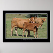 A mother's love print