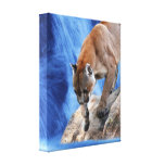A mountain lion at the waterfall gallery wrap canvas