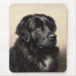 A Newfoundland Mousepad