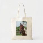 A Paint Horse Canvas Bags