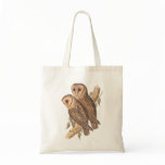 A Pair of Masked Barn Owls on a branch (painting). bags