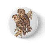 A Pair of Masked Barn Owls on a branch (painting).