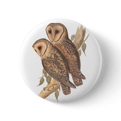 A Pair of Masked Barn Owls on a branch (painting). by super_cool