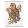 A Pair of Masked Barn Owls on a branch (painting).