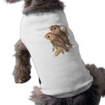 A Pair of Masked Barn Owls on a branch (painting). pet clothing