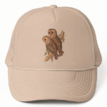 A Pair of Masked Barn Owls on a branch (painting). hats