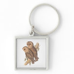 A Pair of Masked Barn Owls on a branch (painting).