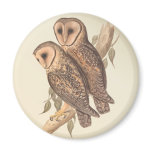 A Pair of Masked Barn Owls on a branch (painting). magnets