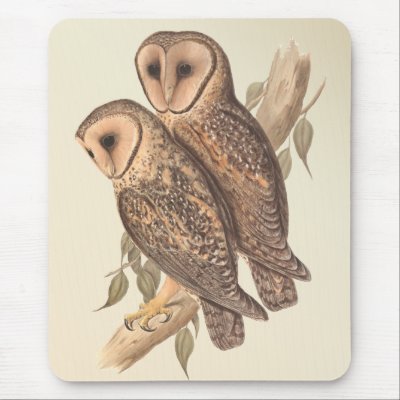 A Pair of Masked Barn Owls on a branch (painting). by super_cool