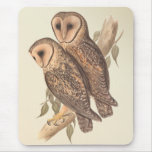 A Pair of Masked Barn Owls on a branch (painting). mousepads