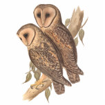 A Pair of Masked Barn Owls on a branch (painting). photo sculptures