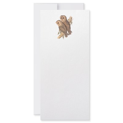 A Pair of Masked Barn Owls on a branch (painting). by super_cool