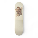 A Pair of Masked Barn Owls on a branch (painting). skateboards