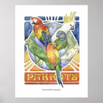 A Parrot's World