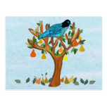 A Partridge in a Pear Tree Post Cards