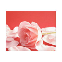 a pastel-colored roses gespannter galerie druck