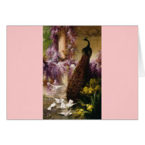 A Peacock and Doves in a Garden Print Greeting Cards