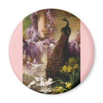 A Peacock and Doves in a Garden Print Magnets