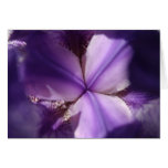A Peek Inside Greeting Cards