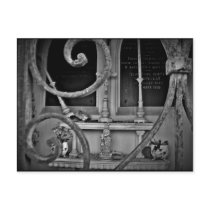 A peek inside the crypt gothic postcard