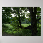 A perfect View Posters