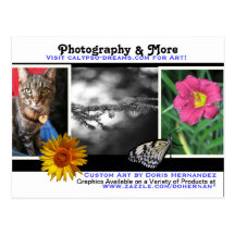 A* Photography & More Business Card Postcard
