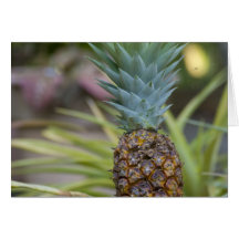 A Pineapple Greeting Card