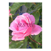 A Pink Rose, RSVP Custom Invitation
