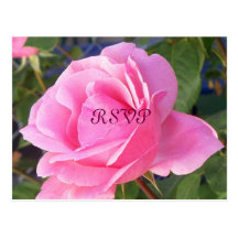 A Pink Rose, RSVP Postcards