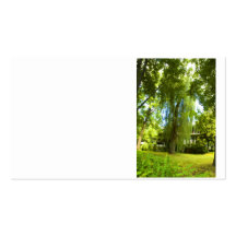 A Place Beyond  - Mystery Almost in Sight Business Card