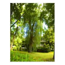A Place Beyond  - Mystery Almost in Sight Postcards