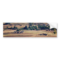 A place in Africa Bumper Stickers