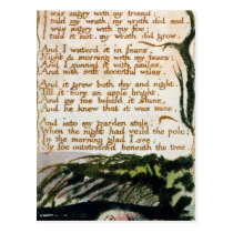 A Poison Tree, from Songs of Experience postcards