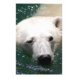 A polar bear just chilling stationery paper