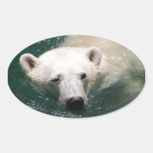 A polar bear just chilling sticker