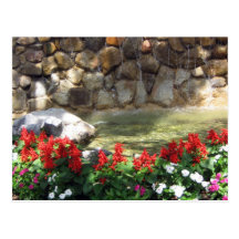 A Pond with Red Flowers  Postcard