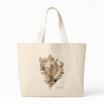 A predatory sea snail canvas bags