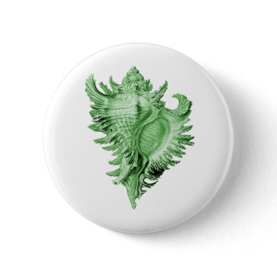 A predatory sea snail pinback button by Ernst_Haeckel