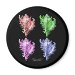 A predatory sea snail fridge magnet