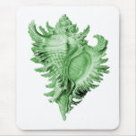 A predatory sea snail mousepads