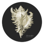 A predatory sea snail stickers