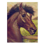 A Prince of the Blood by Currier & Ives Horse Head postcards