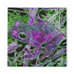 A Purple Frog in the Court Yard of Wonders Magnet