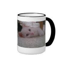 A purrrrfect cup of tea in a Bazinga kitten mug
