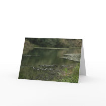 A Quiet Pond/ All-Occasion Greetings Cards